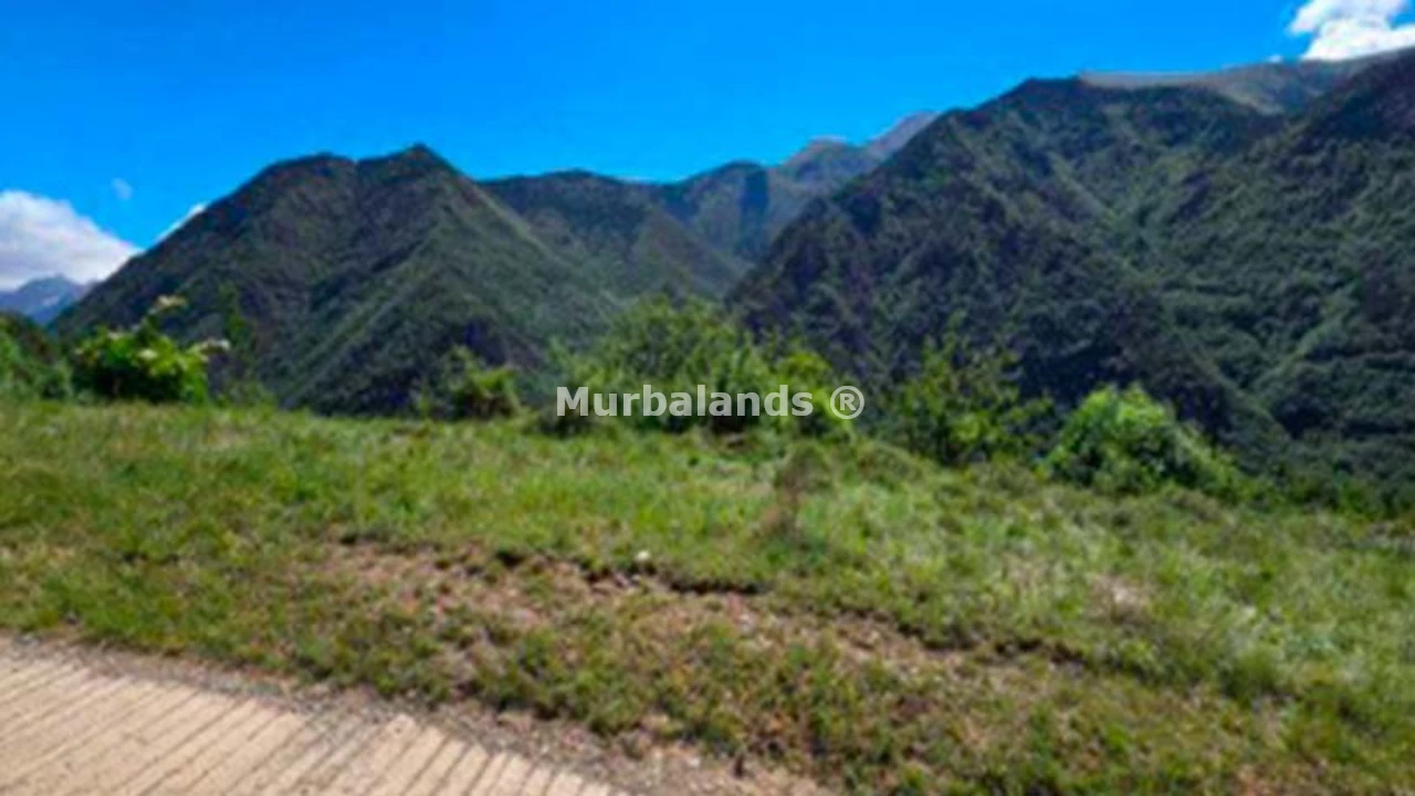 Foto de un terreno o una obra parada para mostrar en el detalle del inmueble