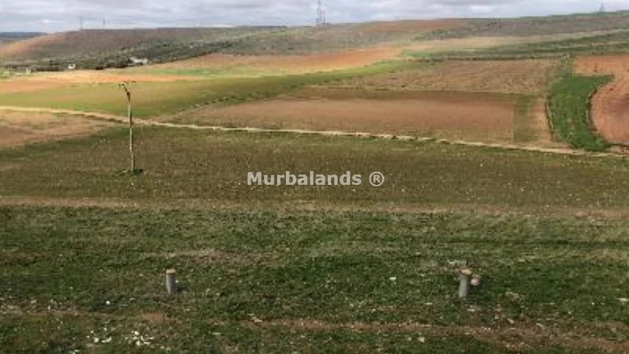 Foto de un terreno o una obra parada para mostrar en el detalle del inmueble