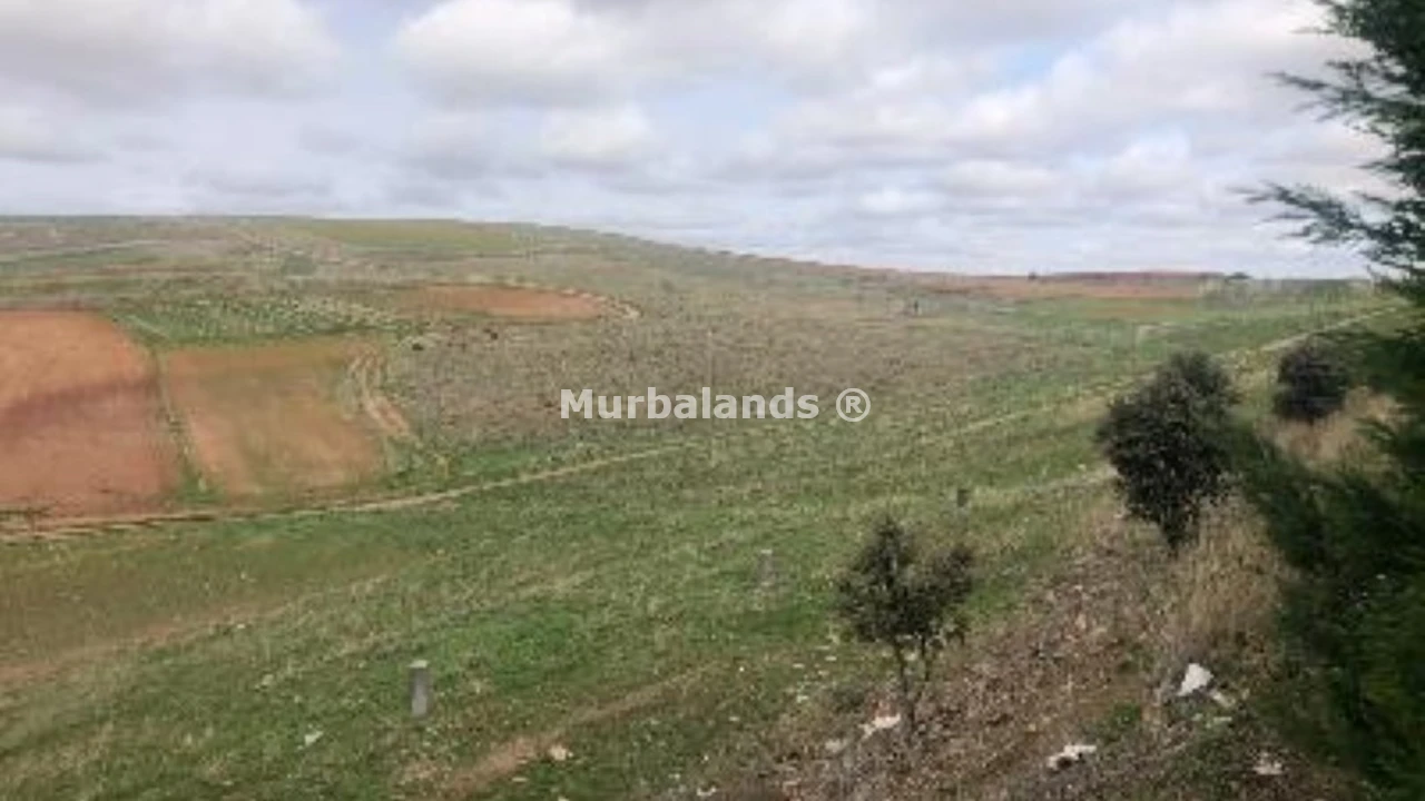 Foto de un terreno o una obra parada para mostrar en el detalle del inmueble
