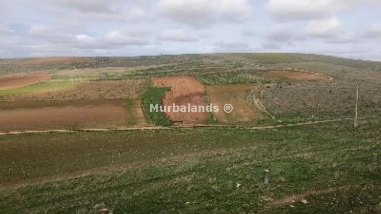 Foto de un terreno o una obra parada para mostrar en el detalle del inmueble