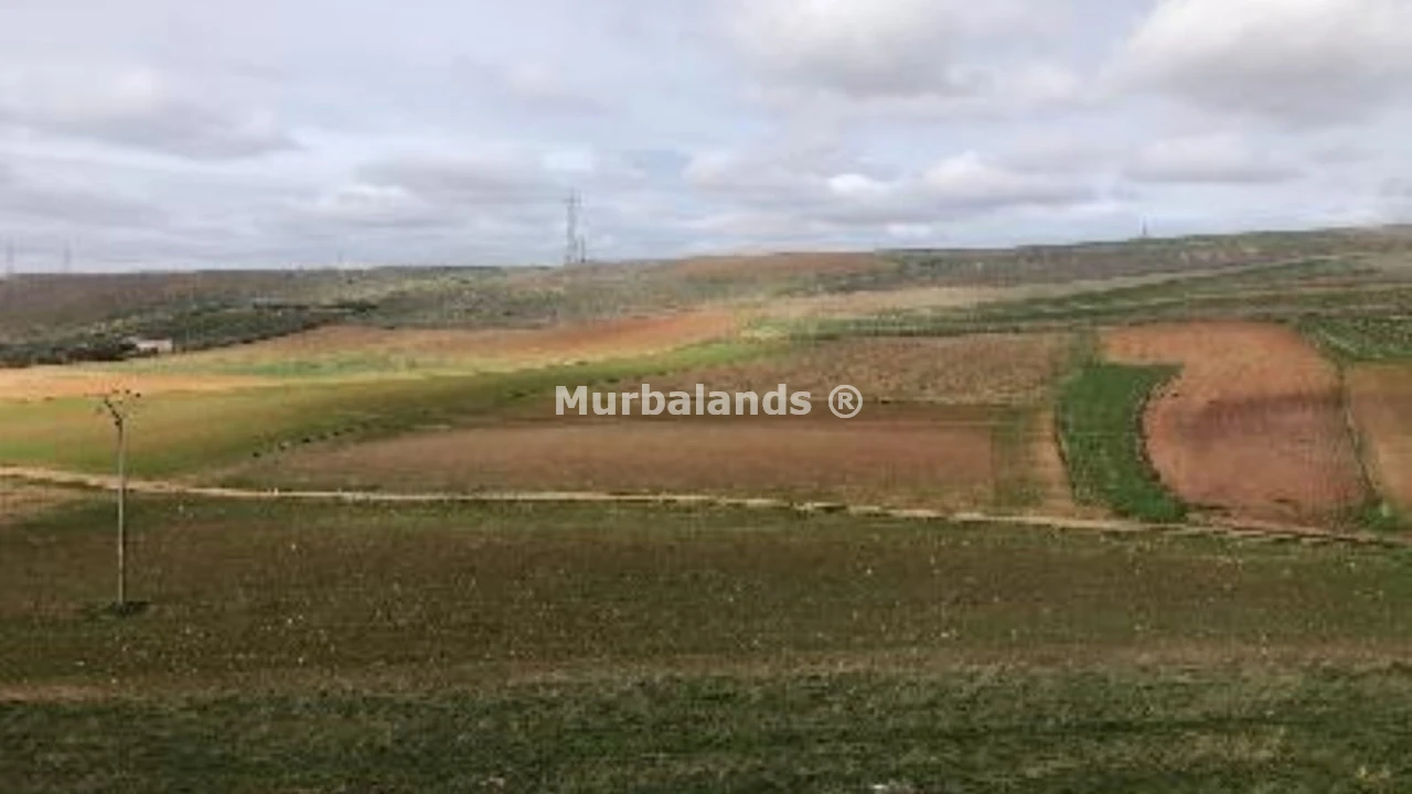 Foto de un terreno o una obra parada para mostrar en el detalle del inmueble