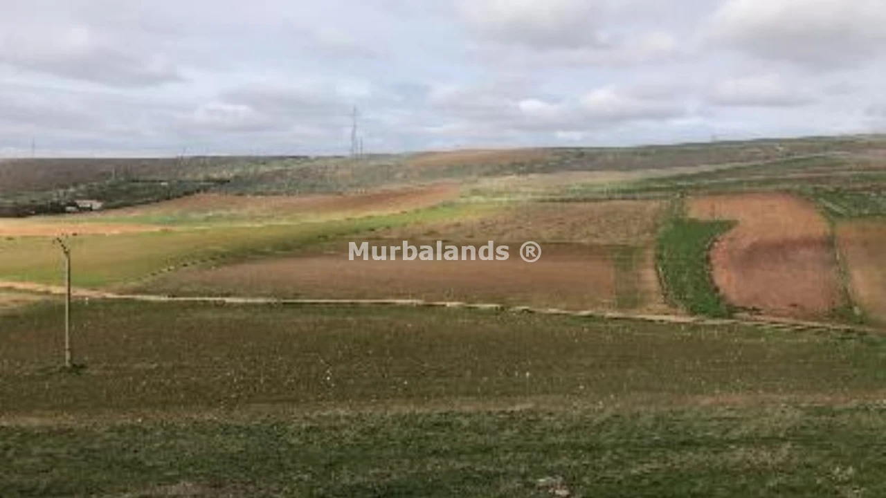 Foto de un terreno o una obra parada para mostrar en el detalle del inmueble