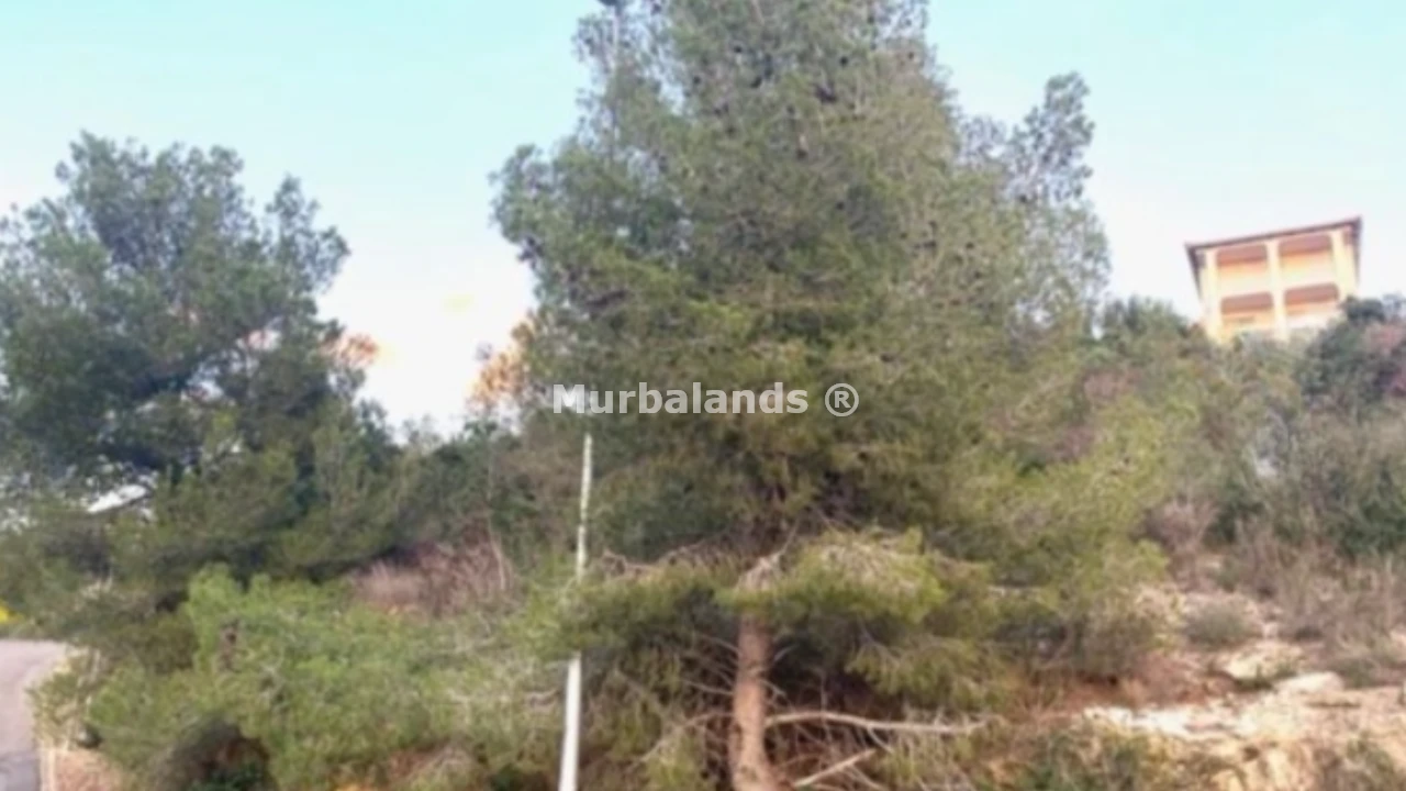 Foto del anuncio Ref. 00005270