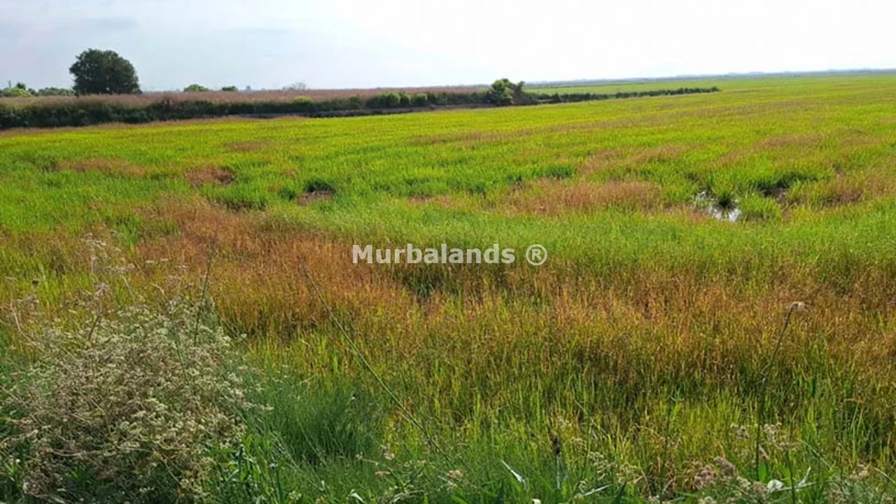 Foto de un terreno o una obra parada para mostrar en el detalle del inmueble