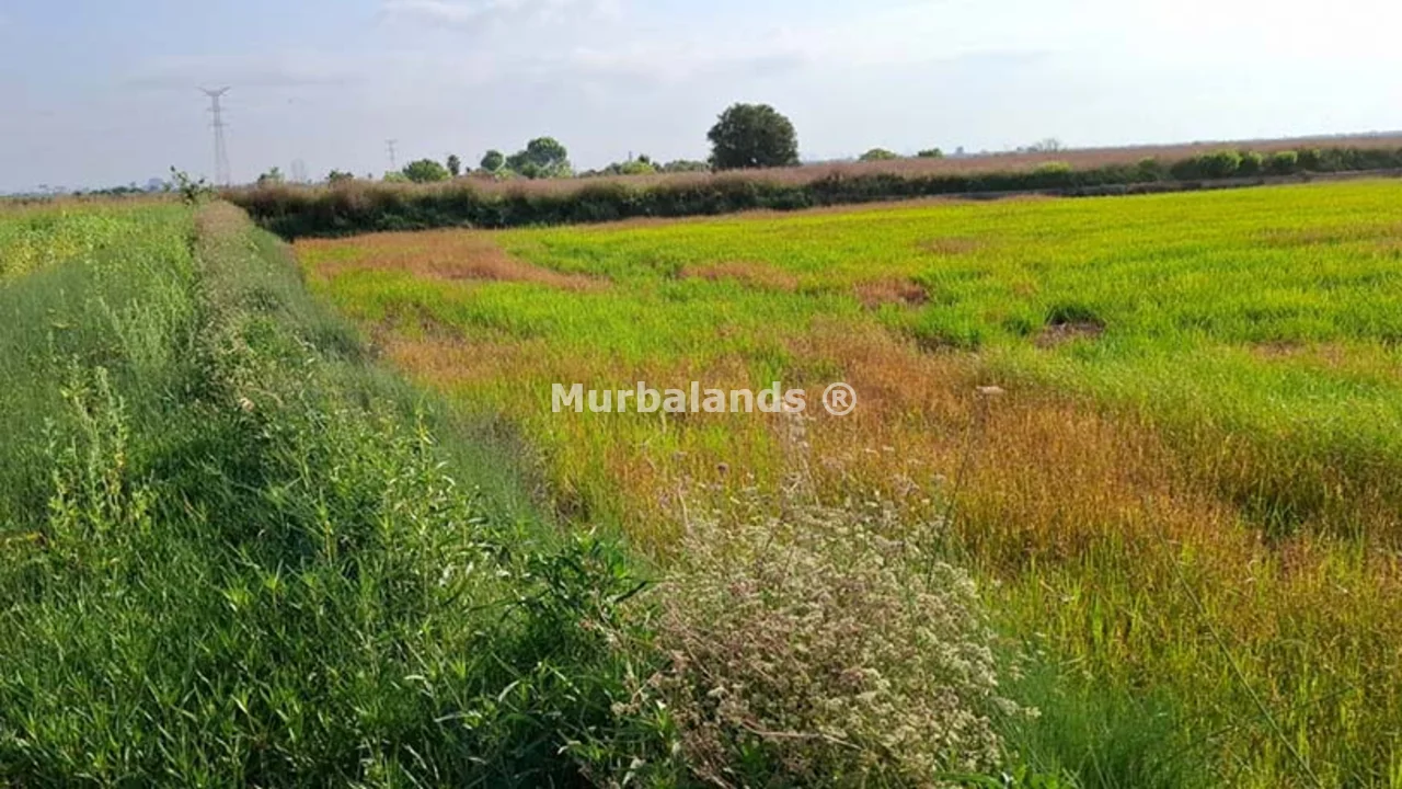 Foto de un terreno o una obra parada para mostrar en el detalle del inmueble