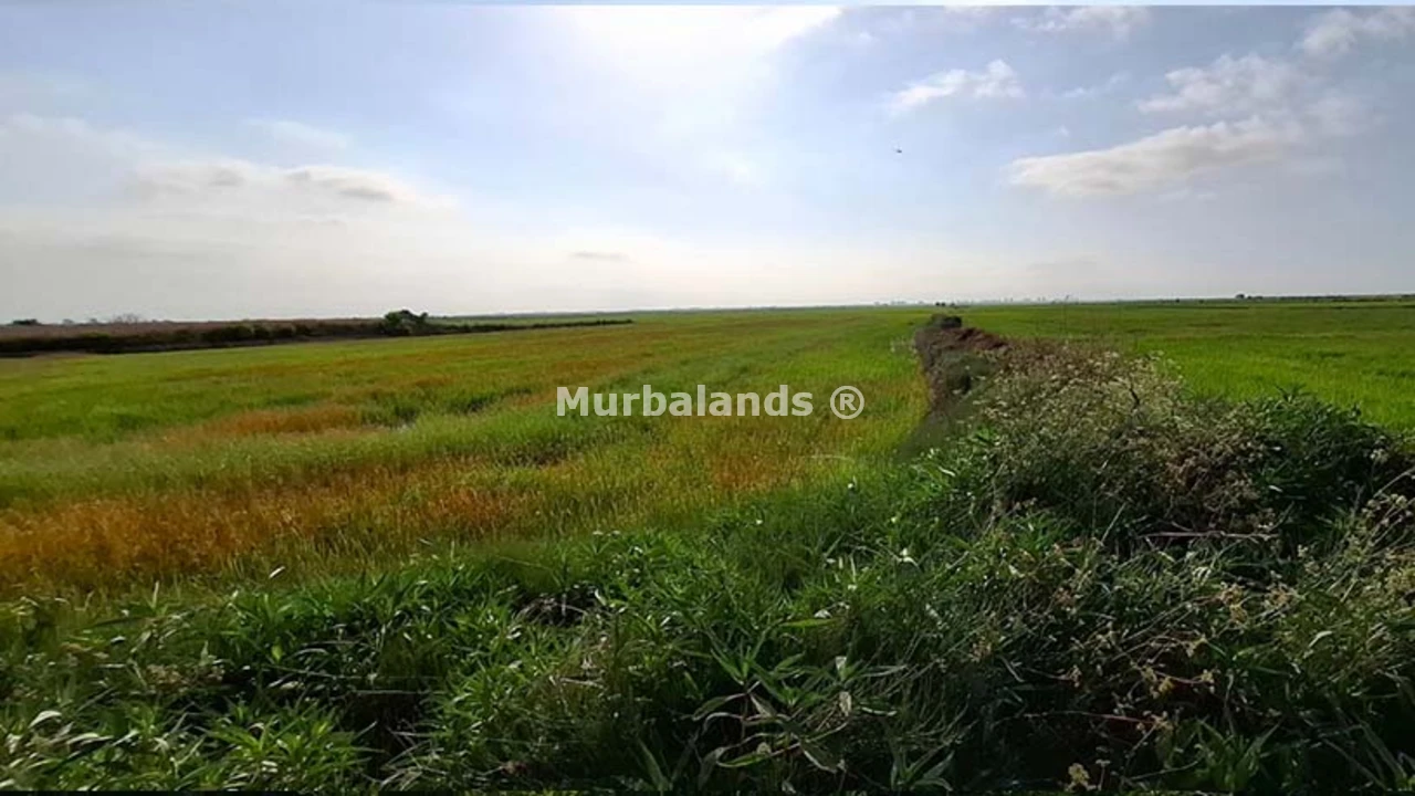 Foto de un terreno o una obra parada para mostrar en el detalle del inmueble