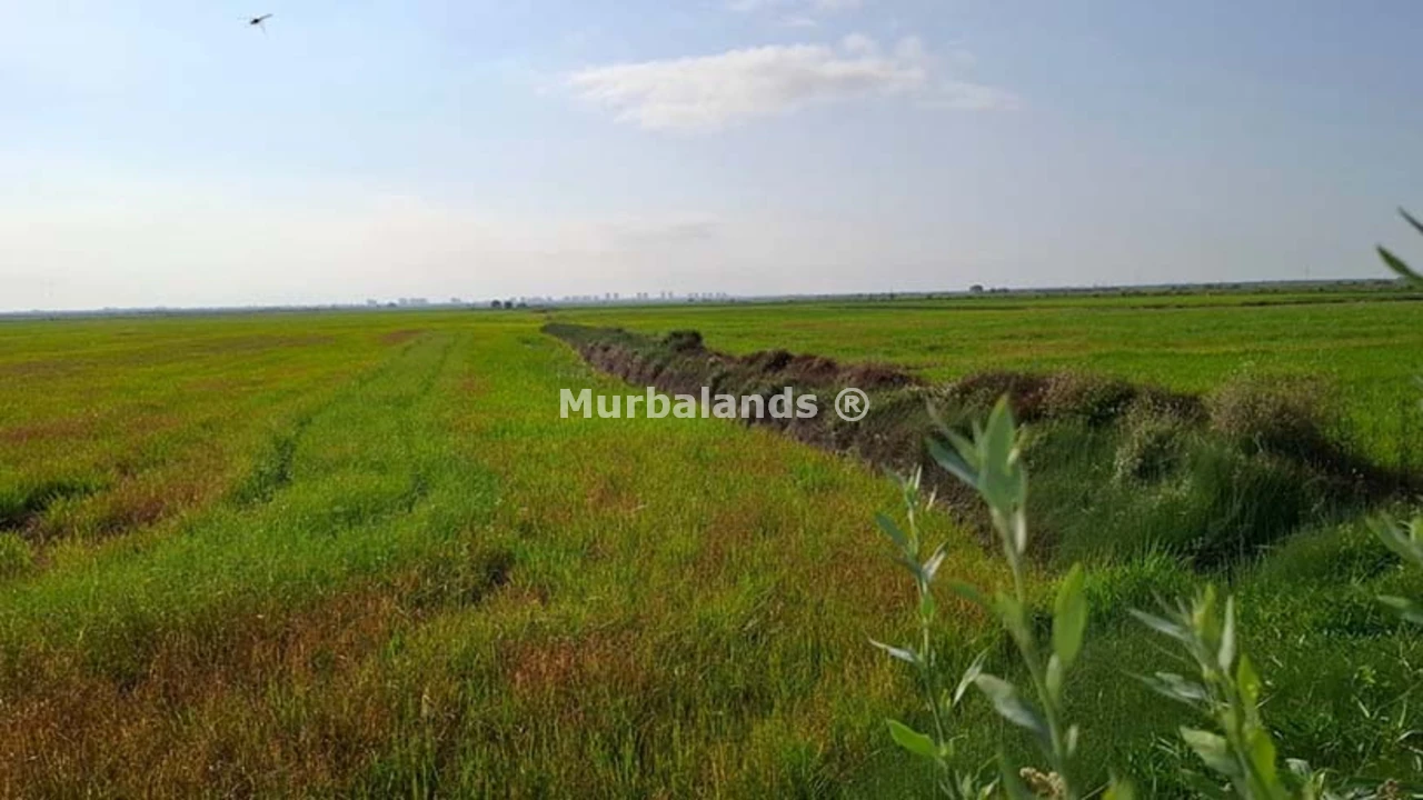 Foto de un terreno o una obra parada para mostrar en el detalle del inmueble