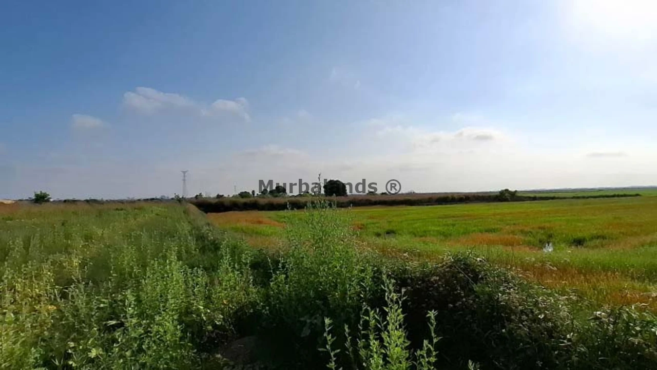 Foto de un terreno o una obra parada para mostrar en el detalle del inmueble