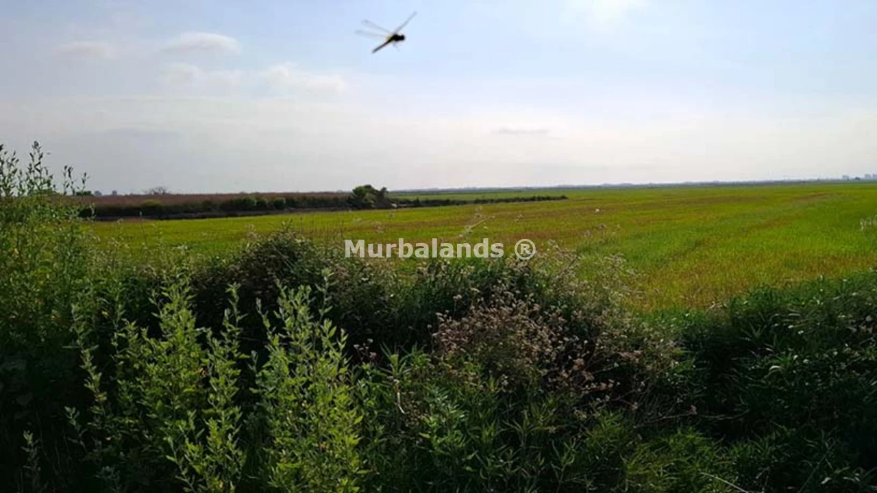 Foto de un terreno o una obra parada para mostrar en el detalle del inmueble
