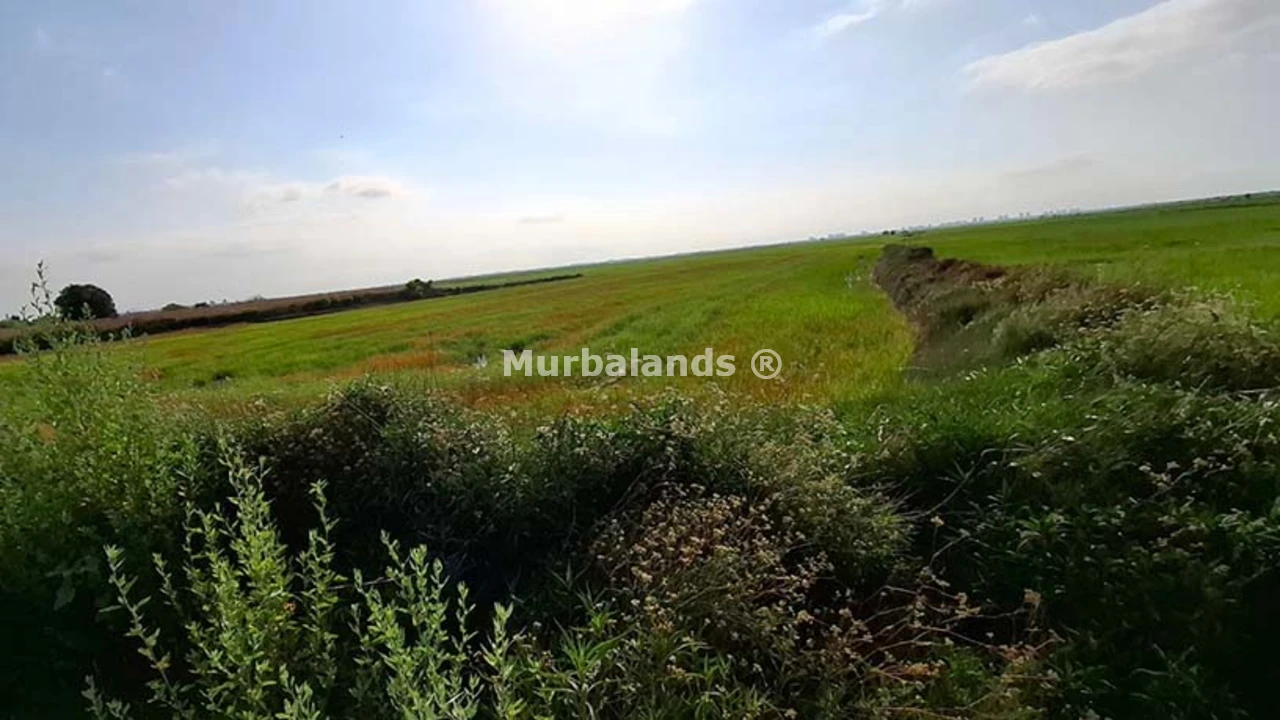 Foto de un terreno o una obra parada para mostrar en el detalle del inmueble