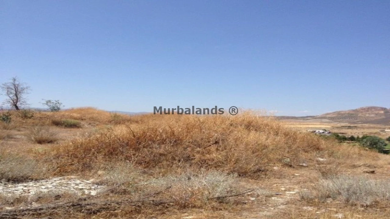 Foto de un terreno o una obra parada para mostrar en el detalle del inmueble