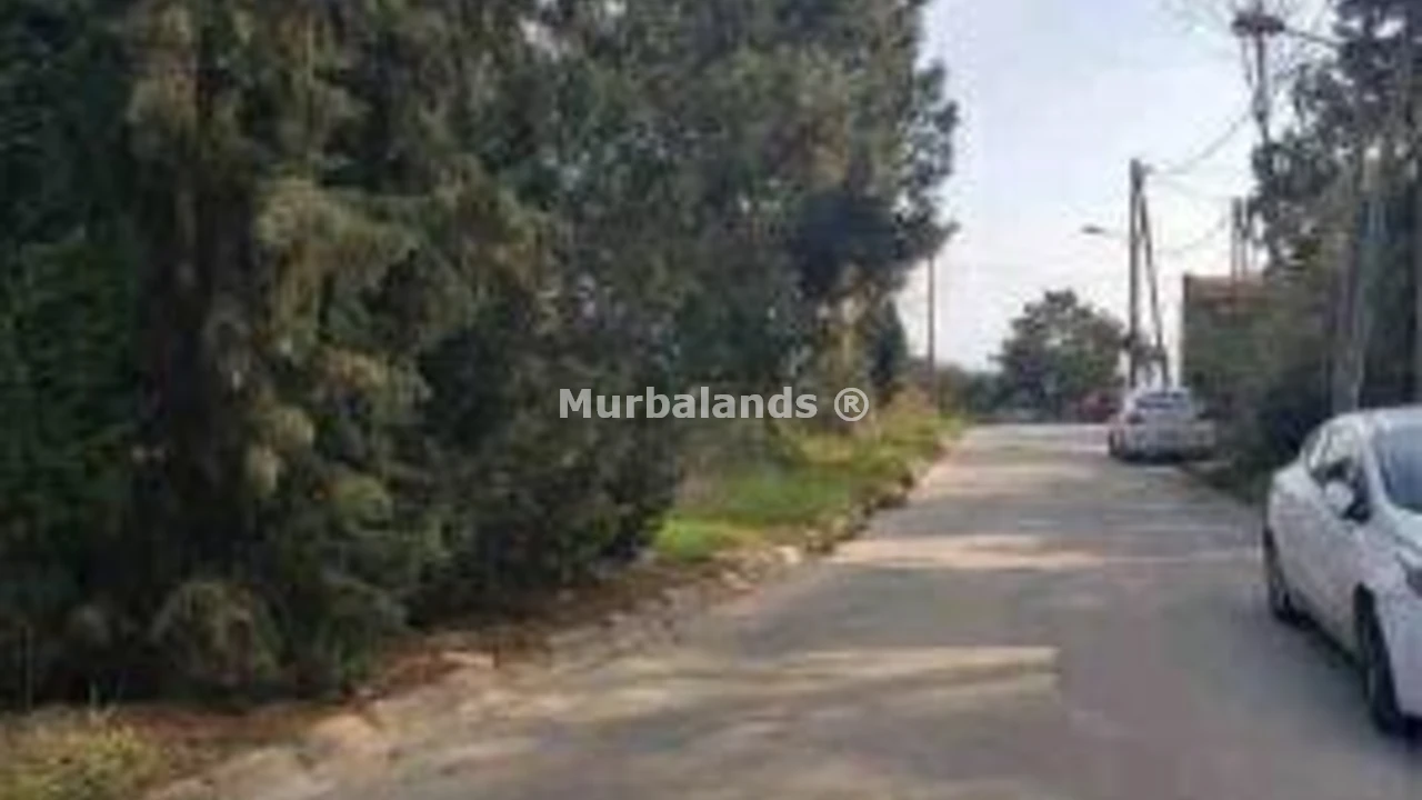Terreno destacado