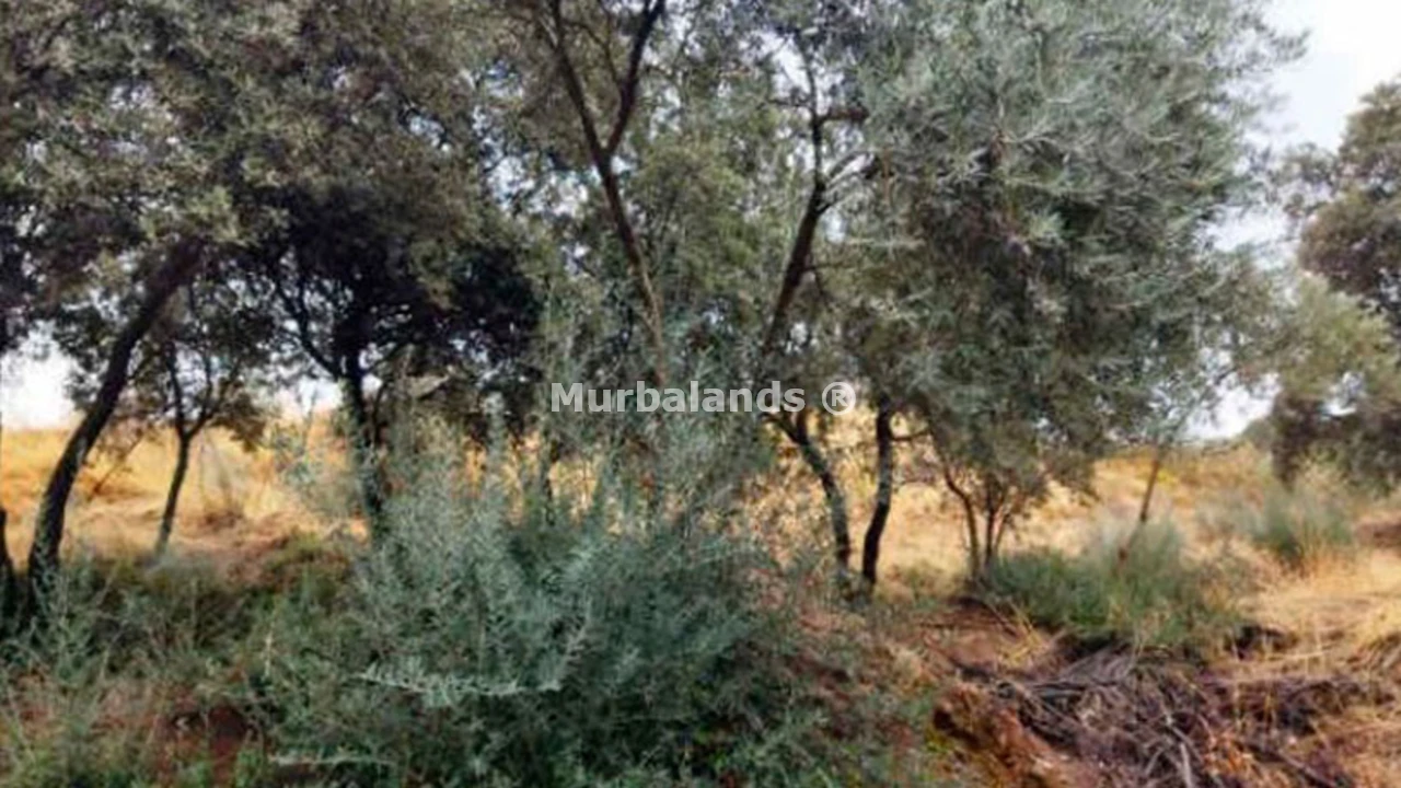 Foto de un terreno o una obra parada para mostrar en el detalle del inmueble