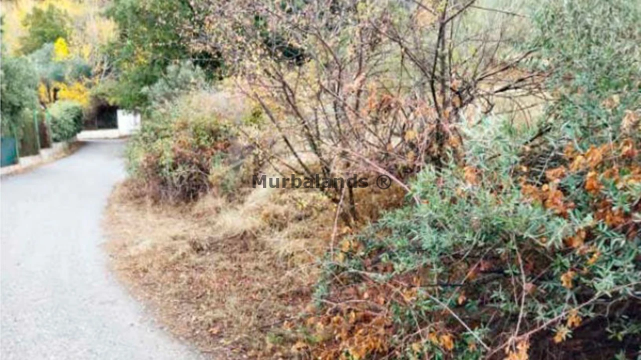 Foto de un terreno o una obra parada para mostrar en el detalle del inmueble