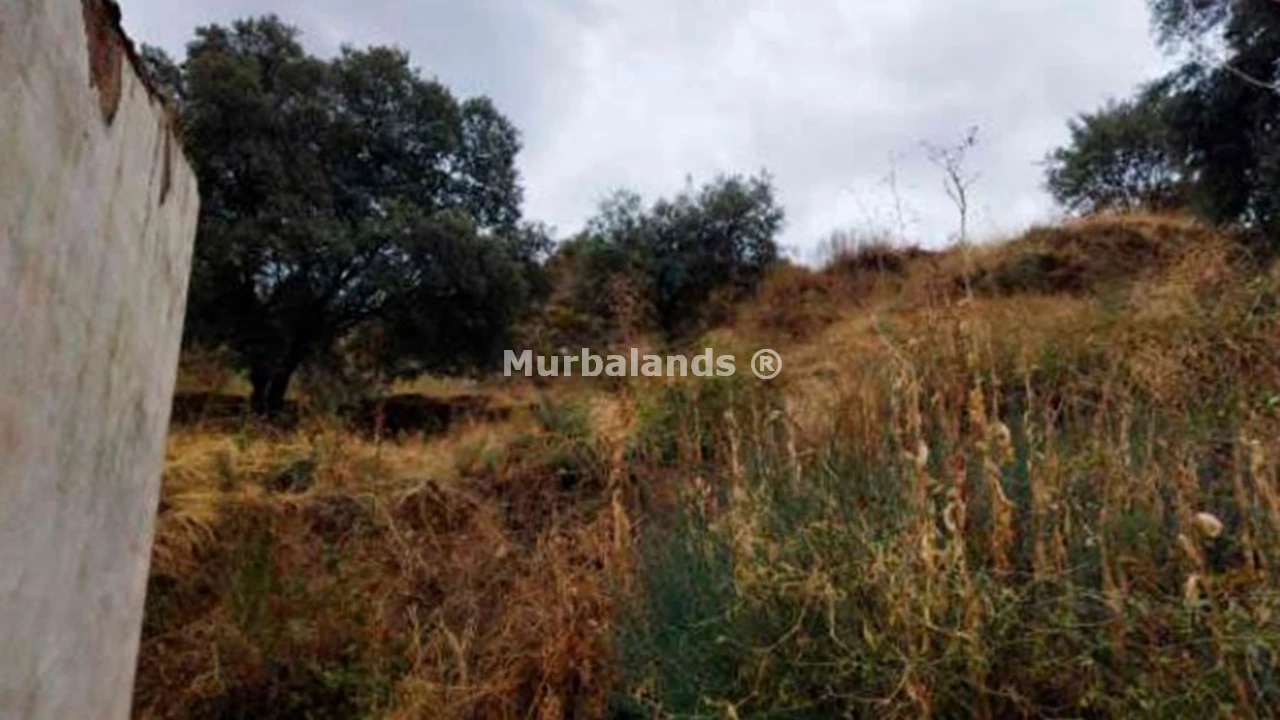Foto de un terreno o una obra parada para mostrar en el detalle del inmueble