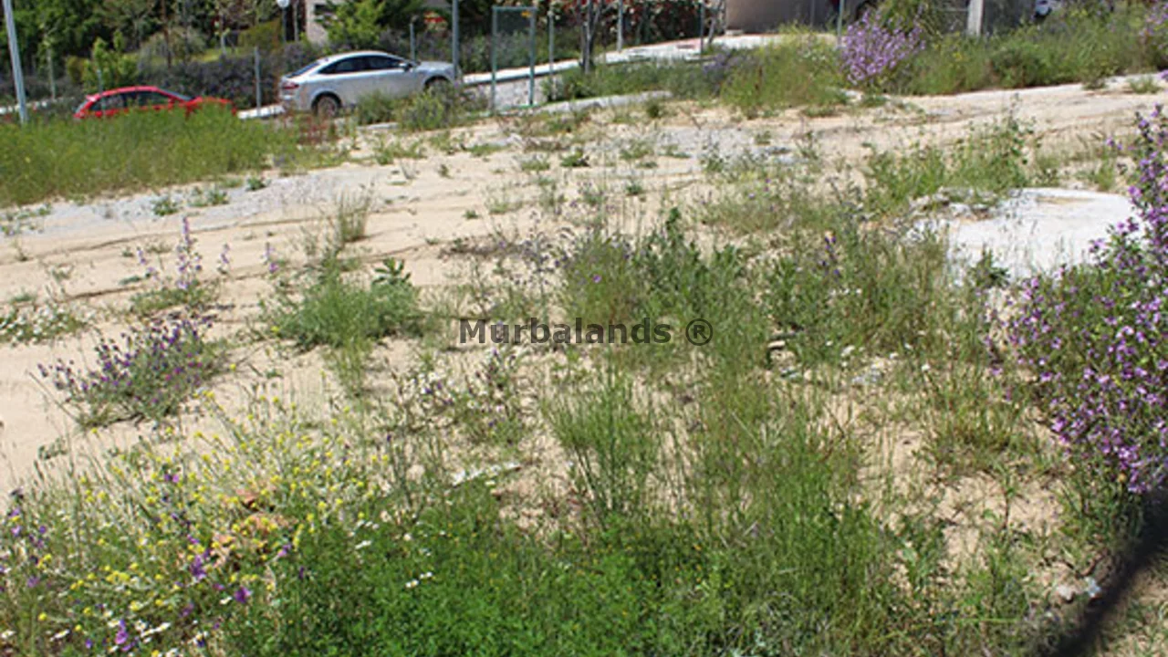 Foto de un terreno o una obra parada para mostrar en el detalle del inmueble