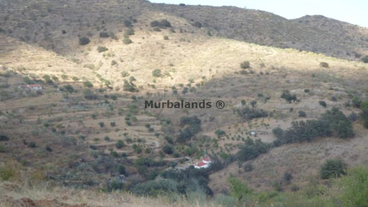 Foto de un terreno o una obra parada para mostrar en el detalle del inmueble