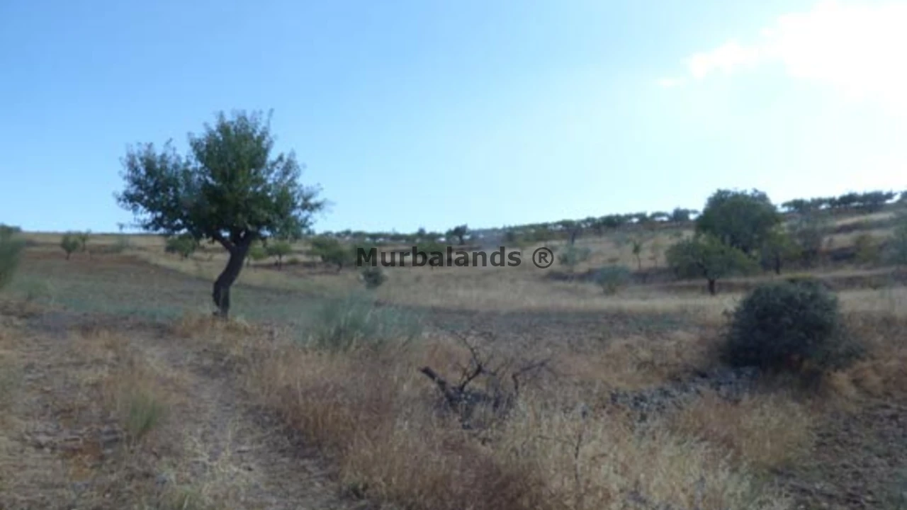 Foto de un terreno o una obra parada para mostrar en el detalle del inmueble