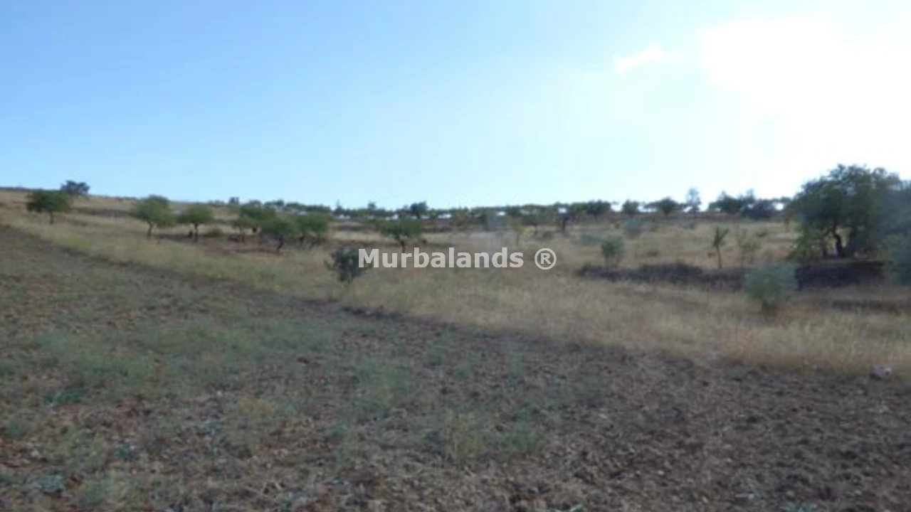 Foto de un terreno o una obra parada para mostrar en el detalle del inmueble