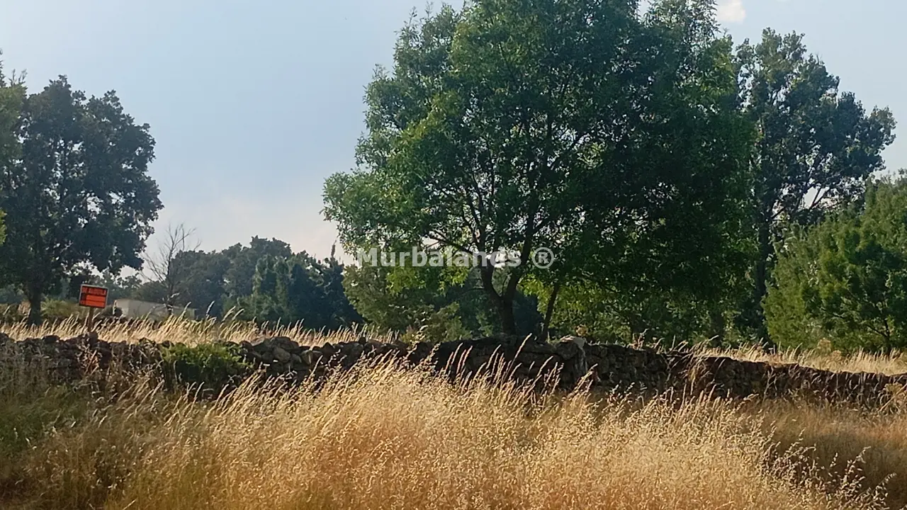 Foto del anuncio Ref. 00005286