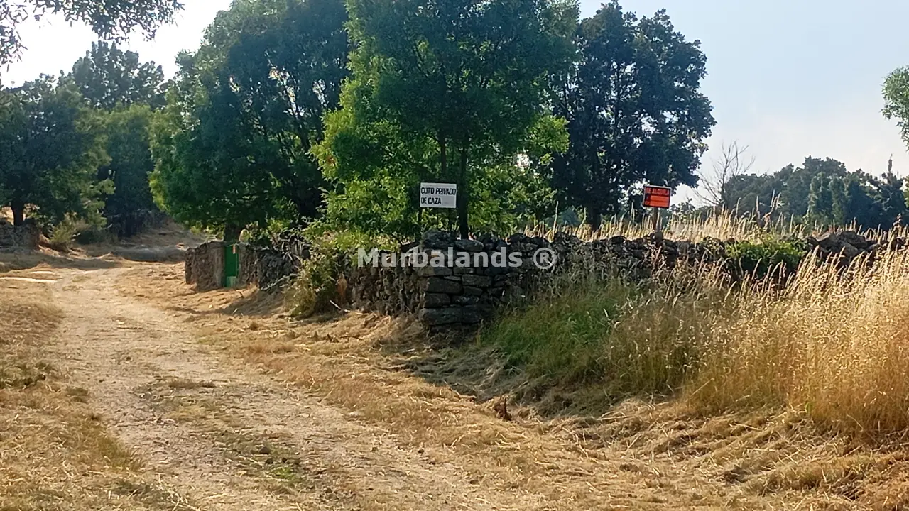 Foto del anuncio Ref. 00005286