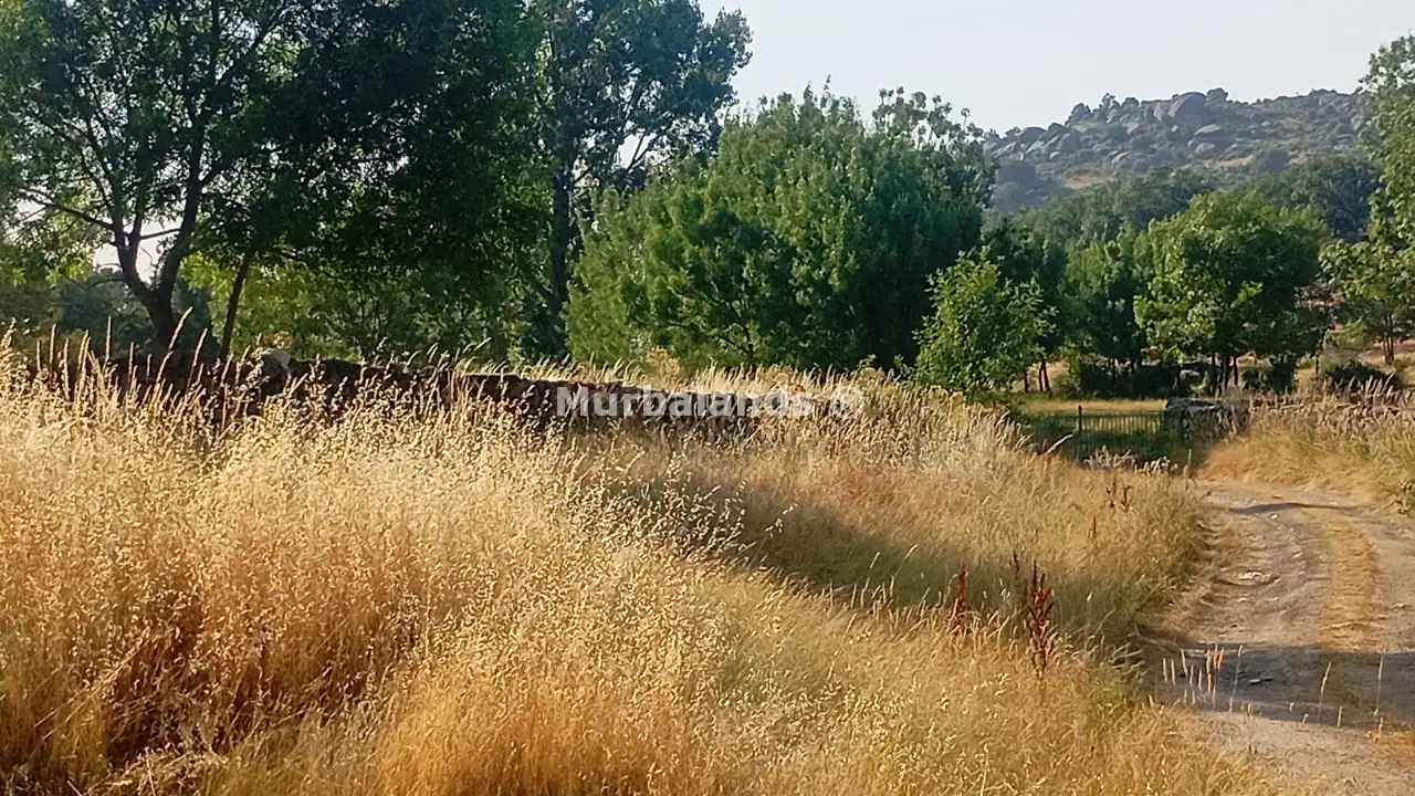 Foto del anuncio Ref. 00005286