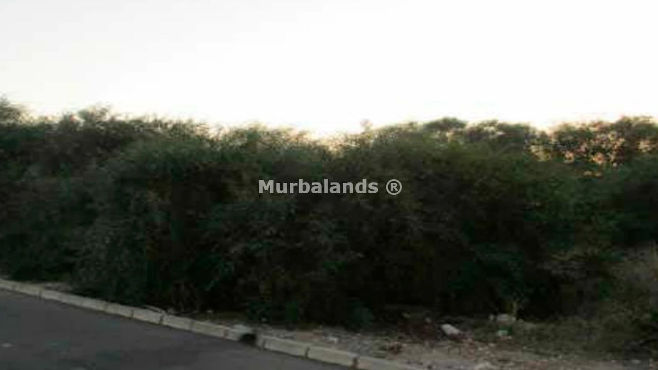 Terreno destacado