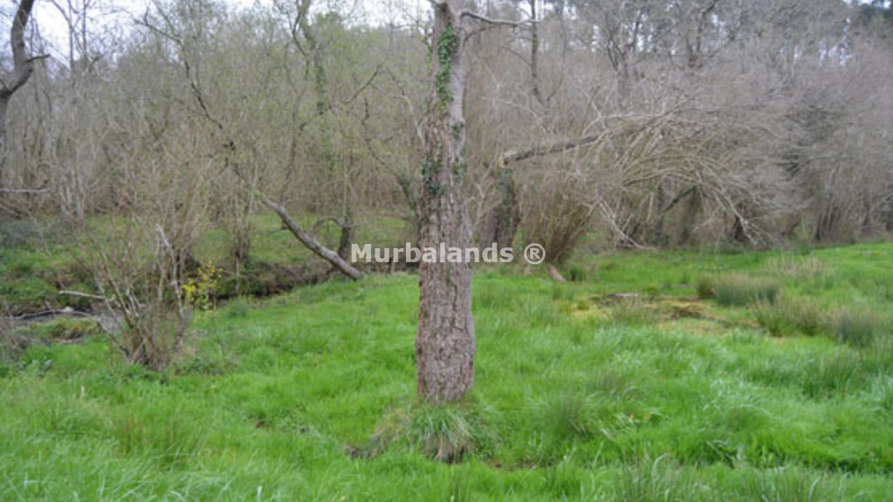 Foto de un terreno o una obra parada para mostrar en el detalle del inmueble