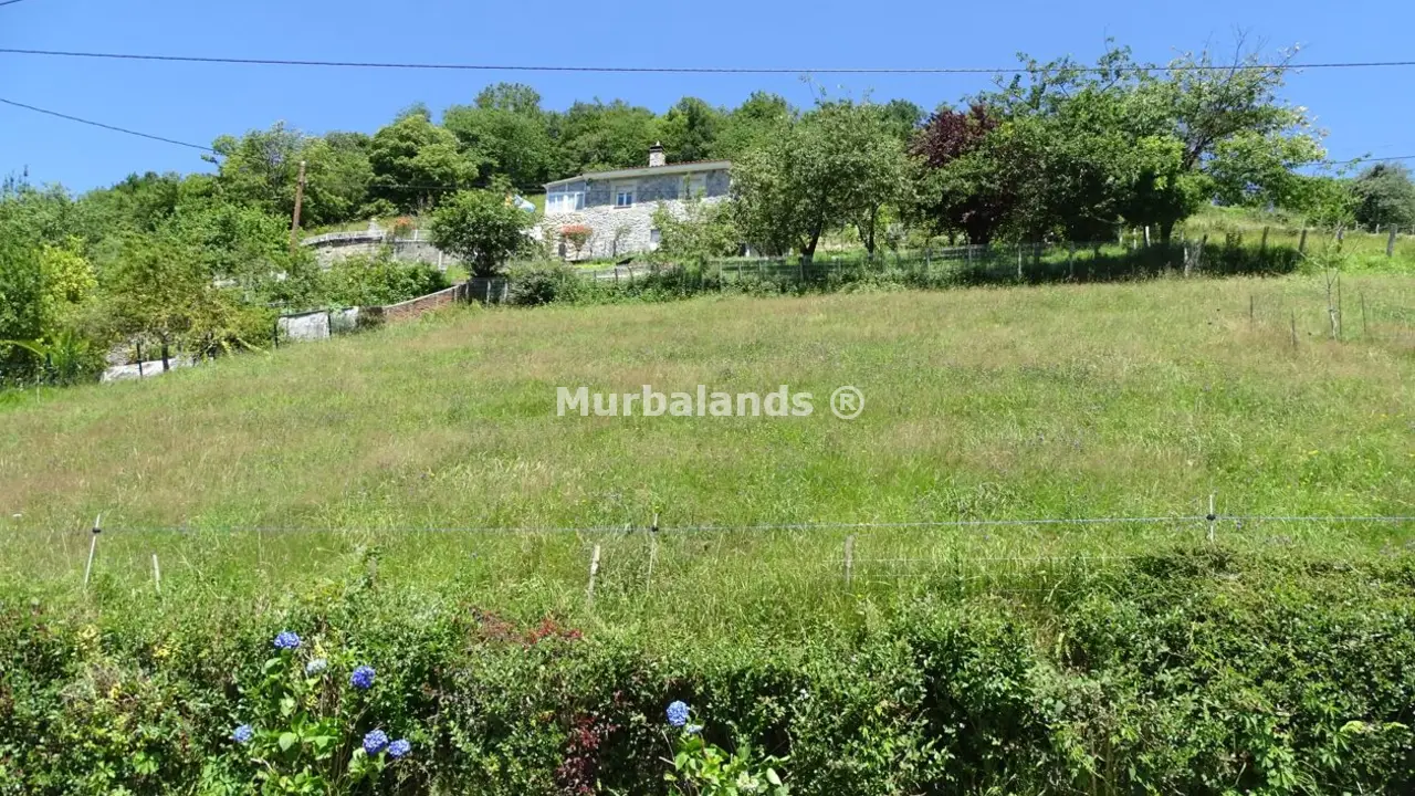 Foto del anuncio Ref. 00005227