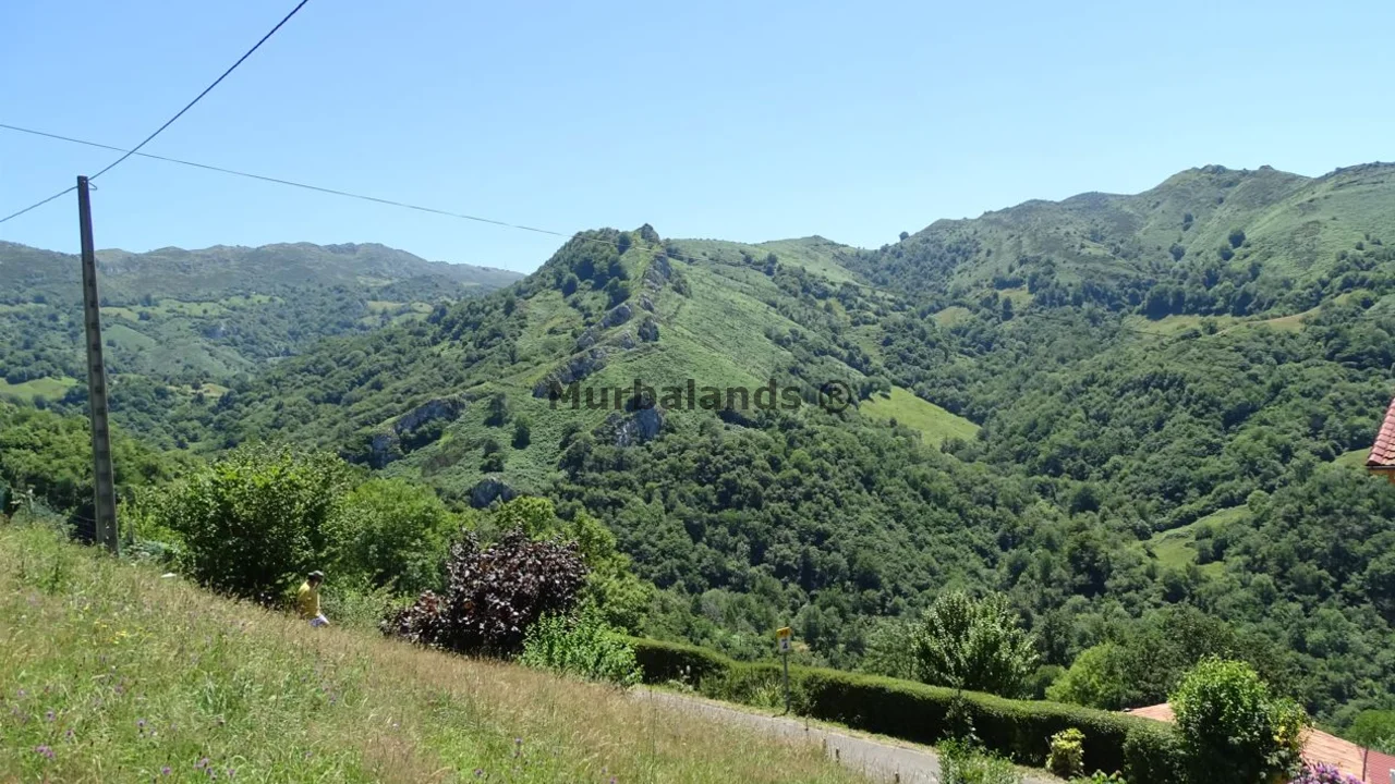 Foto del anuncio Ref. 00005227