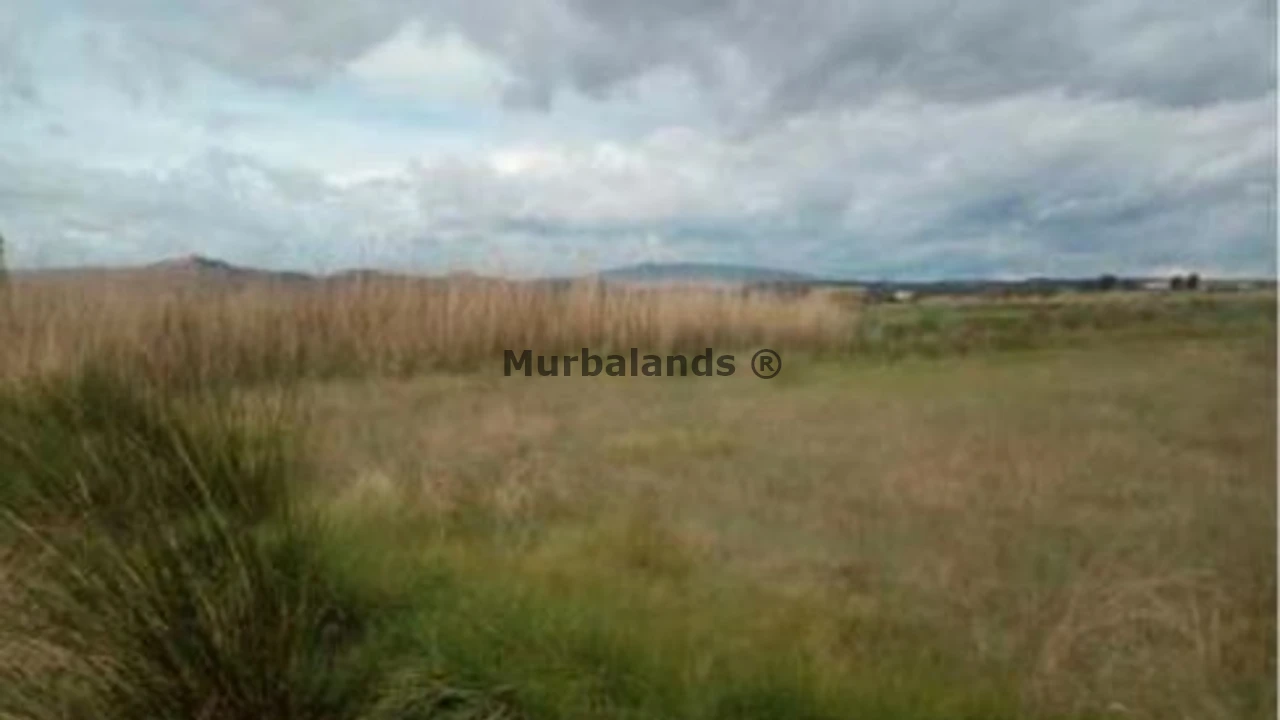 Foto de un terreno o una obra parada para mostrar en el detalle del inmueble
