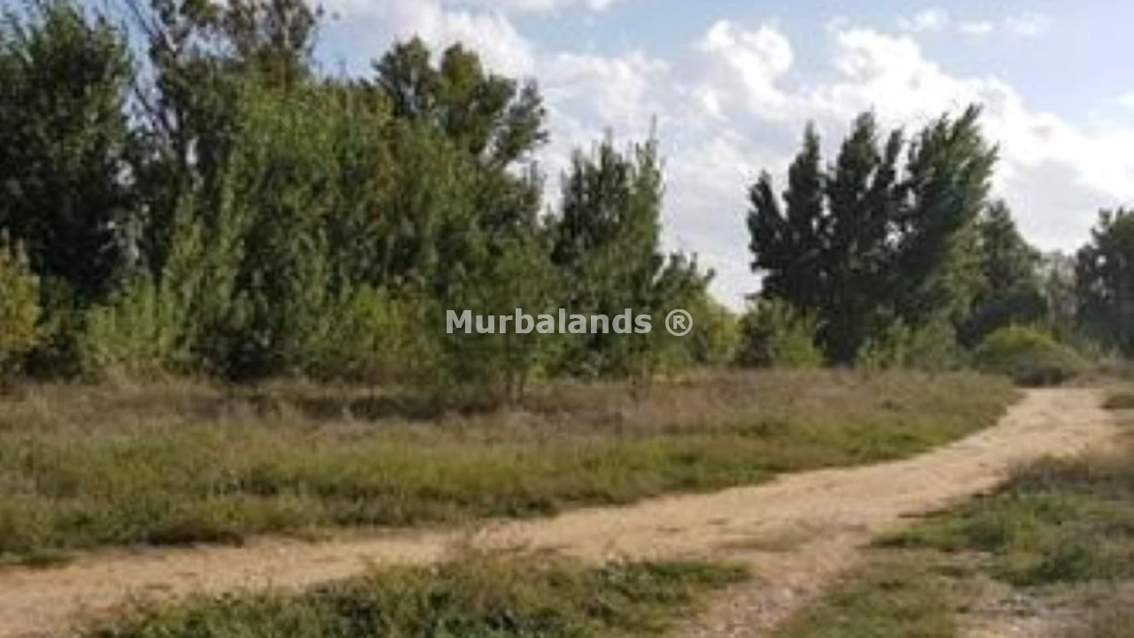 Foto de un terreno o una obra parada para mostrar en el detalle del inmueble
