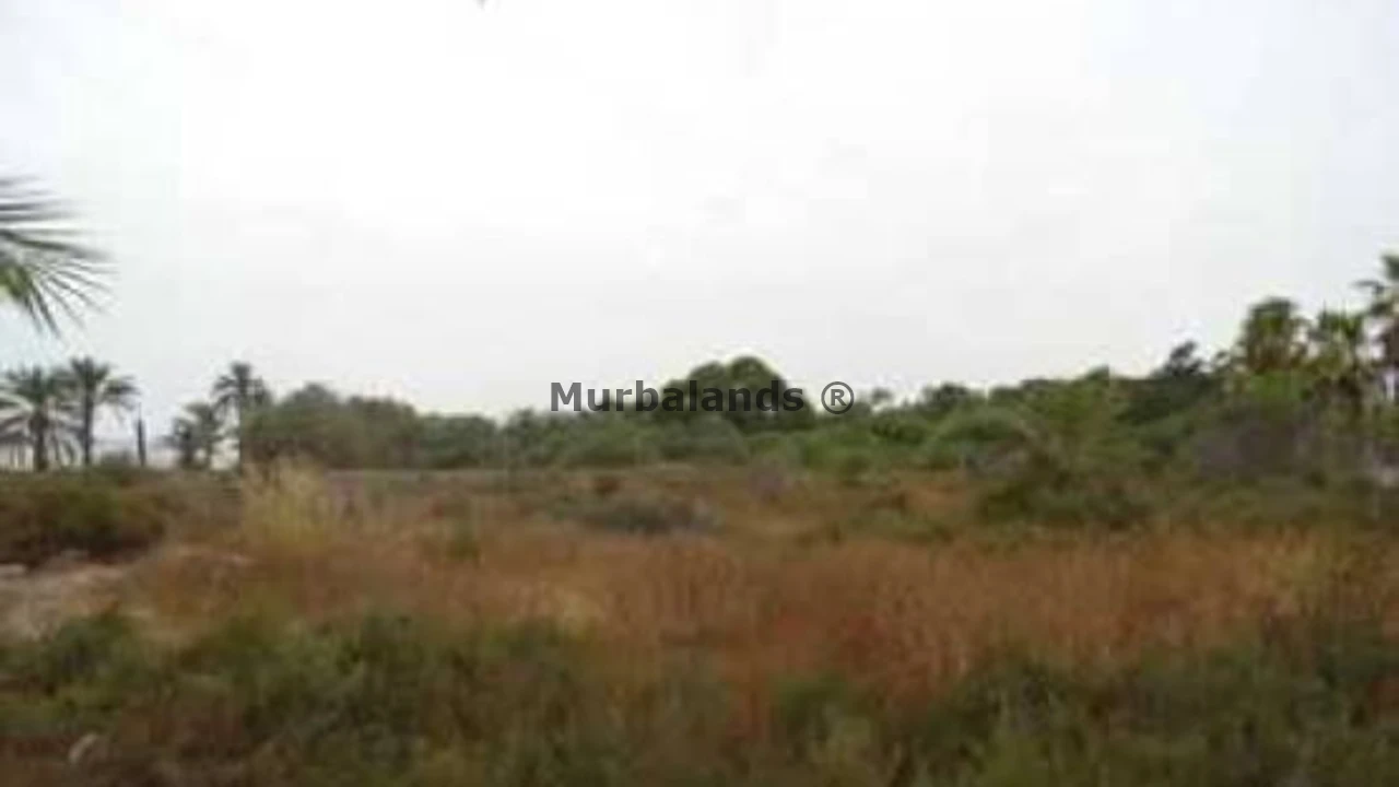 Foto de un terreno o una obra parada para mostrar en el detalle del inmueble