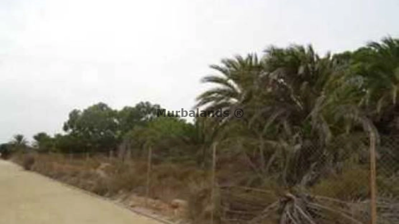 Foto de un terreno o una obra parada para mostrar en el detalle del inmueble