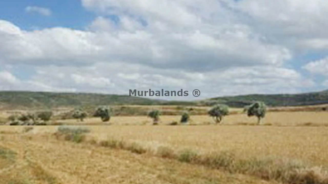 Terreno destacado