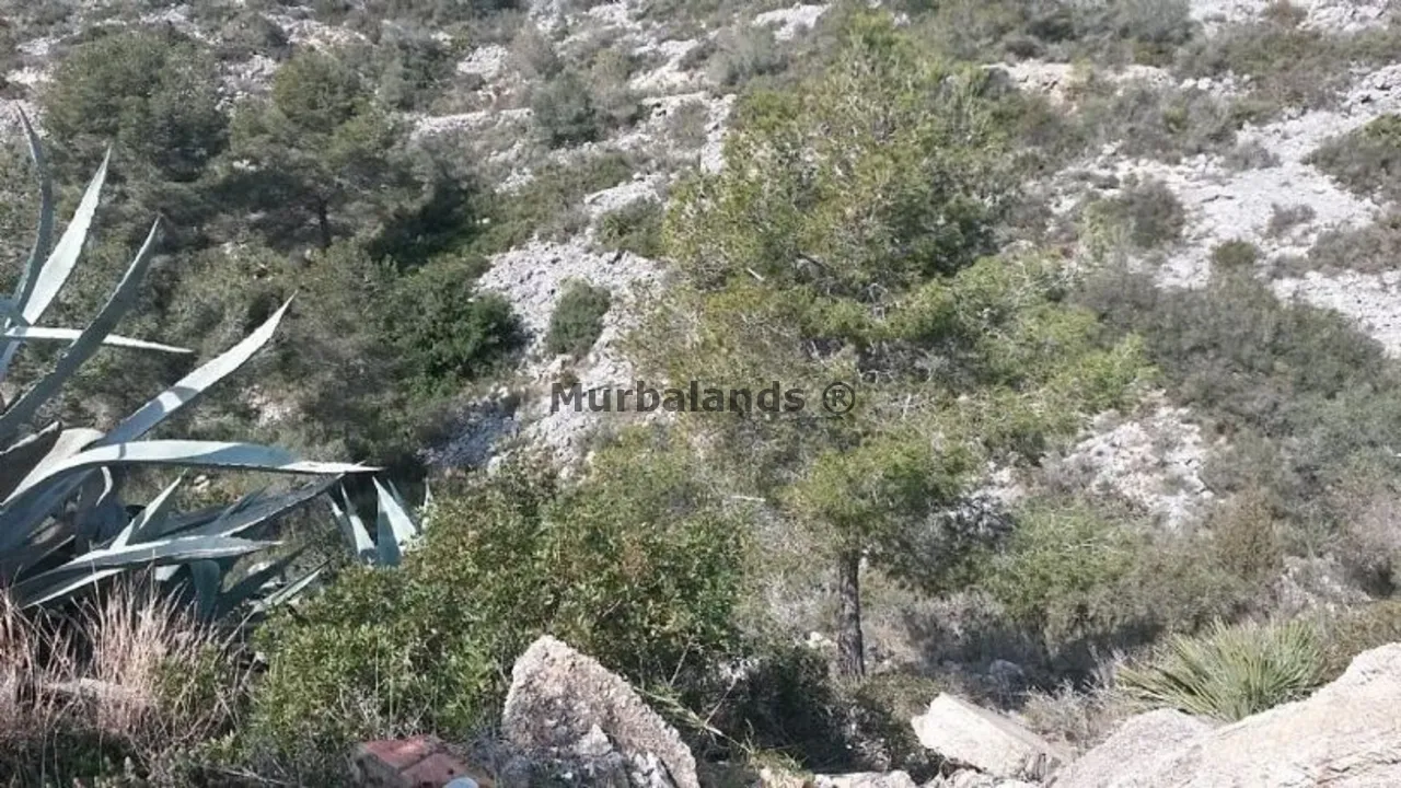 Foto de un terreno o una obra parada para mostrar en el detalle del inmueble
