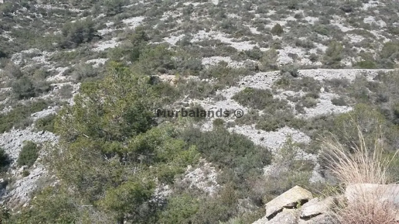 Foto de un terreno o una obra parada para mostrar en el detalle del inmueble