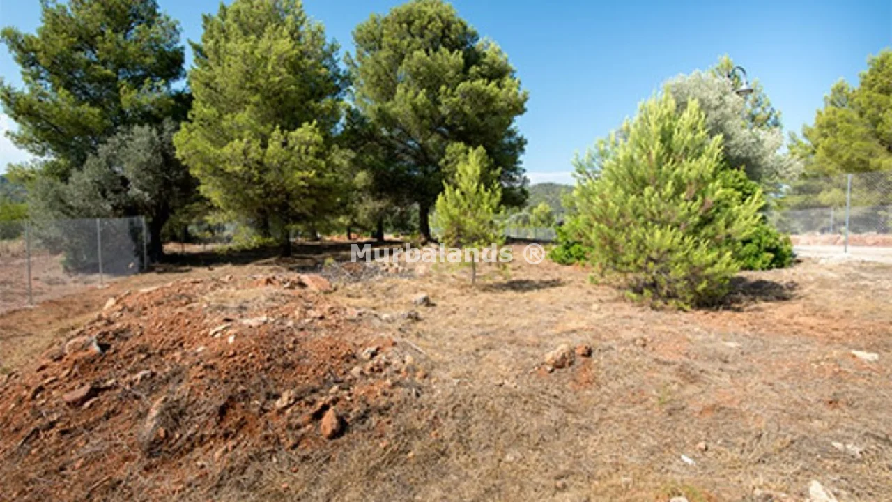 Foto de un terreno o una obra parada para mostrar en el detalle del inmueble