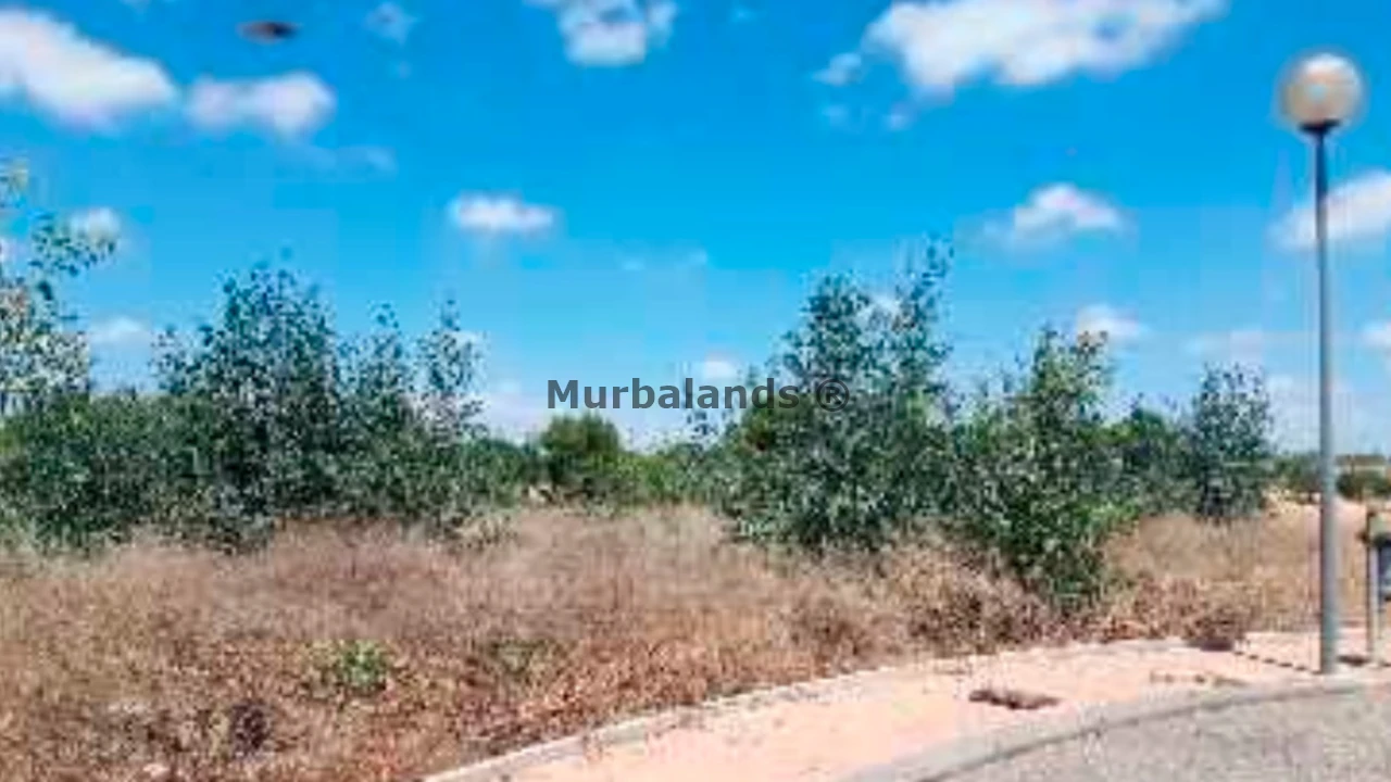 Foto del anuncio Ref. 00005268