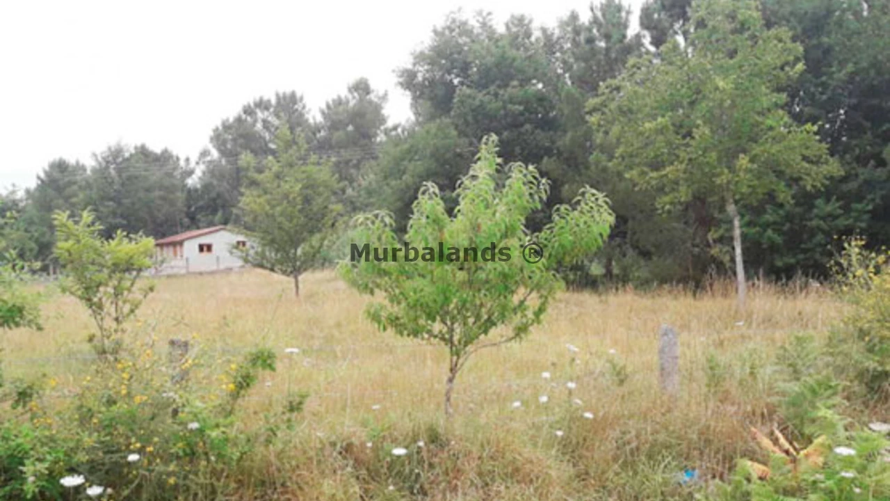 Foto de un terreno o una obra parada para mostrar en el detalle del inmueble