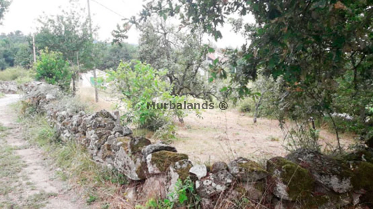 Foto de un terreno o una obra parada para mostrar en el detalle del inmueble