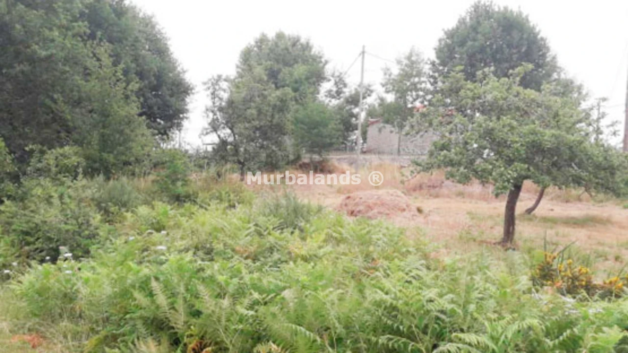 Foto de un terreno o una obra parada para mostrar en el detalle del inmueble