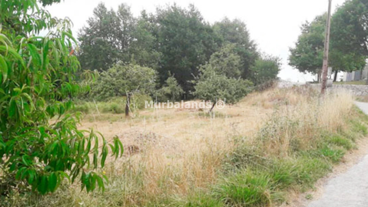 Foto de un terreno o una obra parada para mostrar en el detalle del inmueble