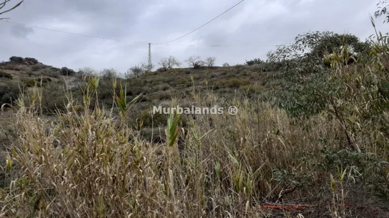Terreno destacado