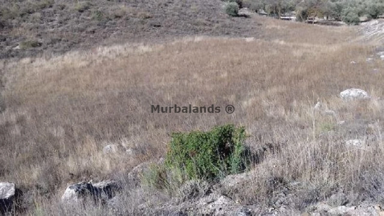 Foto de un terreno o una obra parada para mostrar en el detalle del inmueble