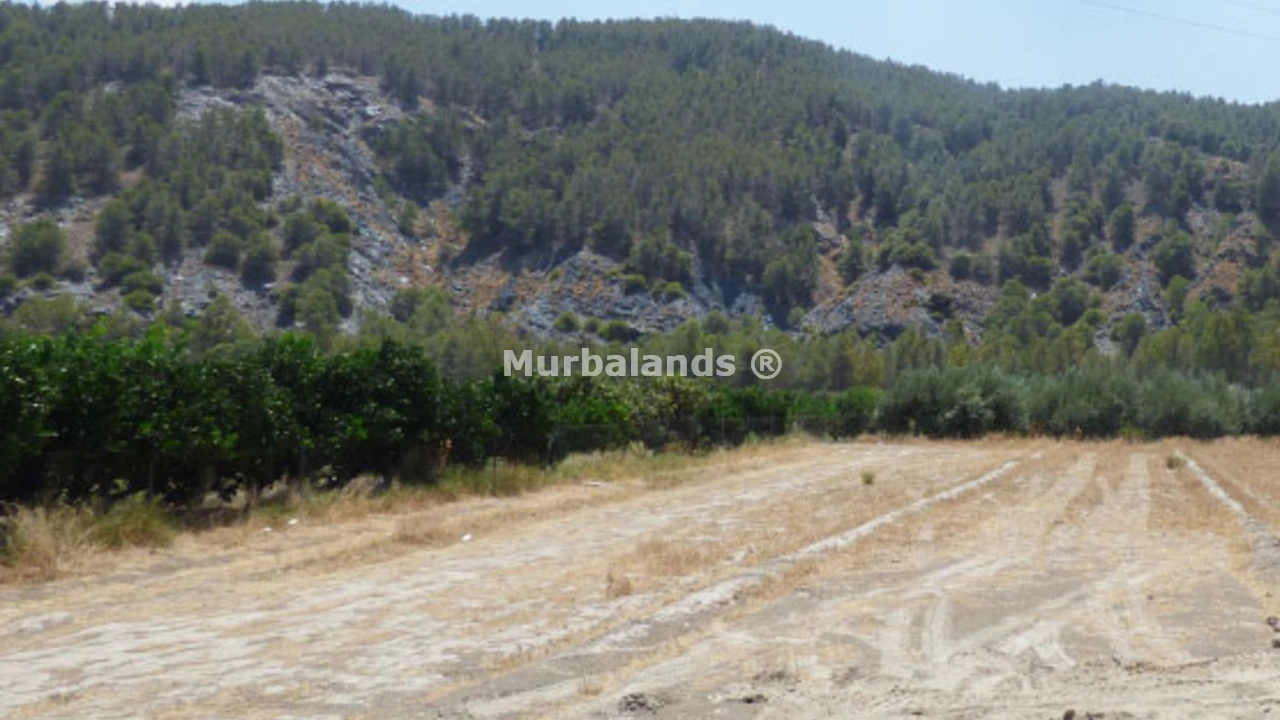 Foto de un terreno o una obra parada para mostrar en el detalle del inmueble