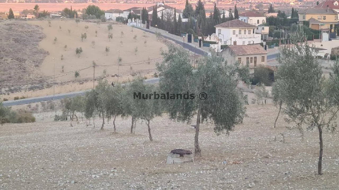 Foto de un terreno o una obra parada para mostrar en el detalle del inmueble