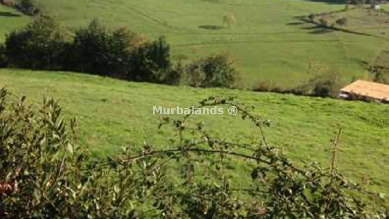 Foto de un terreno o una obra parada para mostrar en el detalle del inmueble