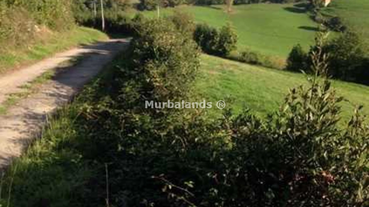 Foto de un terreno o una obra parada para mostrar en el detalle del inmueble