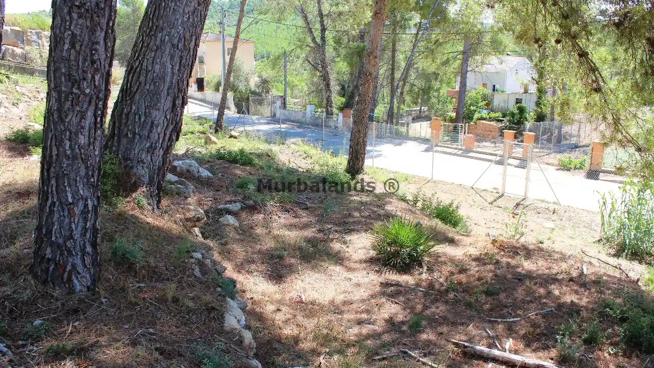 Foto de un terreno o una obra parada para mostrar en el detalle del inmueble